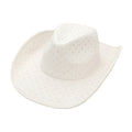 Rhinestone Embellished Faux Suede Western Cowboy Fedora Hat